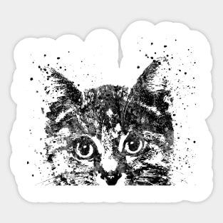 Peeking cat Sticker
